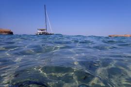 [VÍDEO] Els ecosistemes i hàbitats marins de les Balears, protagonistes de la campanya 'Mar en Xarxa' del GOB