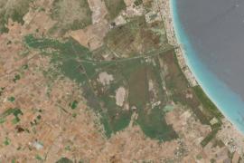 El GOB alerta que l'Albufera pateix la sequera més important de la darrera dècada