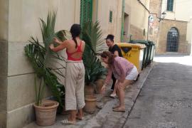 Les veïnades col·locant els cossiols.