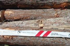 MÉS acusa Prohens de seguir l'exemple de Matas i «donar barra lliure als delictes mediambientals»