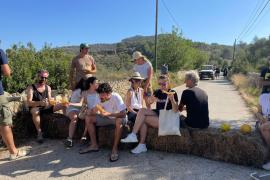 Imatge d’Última Hora