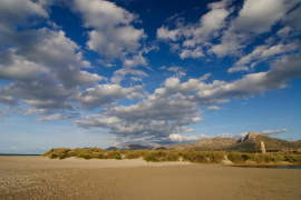 Fotografia: GOB. Sa Canova.