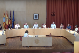 El Consell de Menorca autoritza les edificacions en sòl rústic amb el suport de la ultradreta