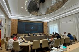 La Diputació Permanent debatrà el 7 d'agost la convocatòria del ple que abordarà la sortida de Le Senne