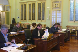 El portaveu del grup parlamentari MÉS per Mallorca, David Abril.