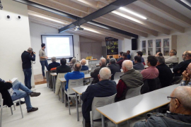 Molta expectació i interès pel brot de Xillella fastidiosa detectat a Mallorca