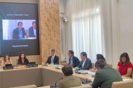 Negueruela: «El PP de Prohens anteposa les seves vacances a la dignitat democràtica»