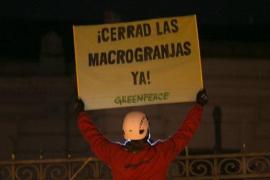 Reclamen la paralització immediata d'una macrogranja a Sineu per ser la més contaminant de l'Estat espanyol