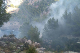 Un incendi forestal, ja controlat, crema 8,6 hectàrees a Tuent