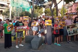 Nova protesta contra el maltracte als cavalls de les galeres de Palma