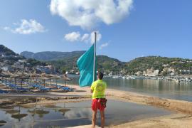 Els socorristes han penjat la bandera verda a la platja.