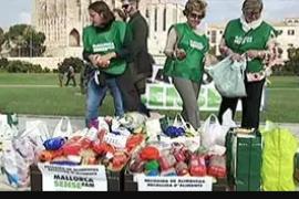 Mallorca Sense Fam diu que pateix una «difícil situació» amb una llista d'espera de 60 famílies