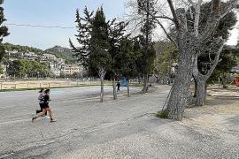 SOLLER - El batle i regidor dâÃÃ´Esports, Miquel Nadal estudia canviar el projecte de Simarro per reformar lâÃÃ´Infante Lo