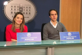 Álvaro Gijón ha assenyalat que el topònim ‘Palma’ pot crear confusions amb altres ciutats com La Palma de Canàries.