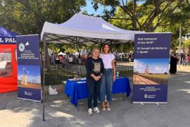 Posen en marxa una subvenció per a restaurar molins del Pla de Sant Jordi: «És una de les primeres imatges que perceben els forans en arribar a Mallorca»