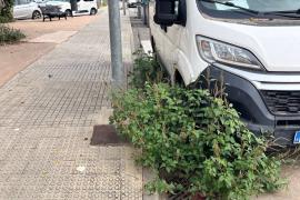 El Pi reclama una actuació urgent a Inca per a eliminar les males herbes de les voravies.