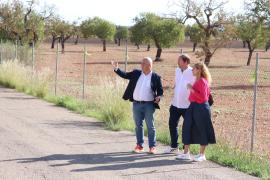 MÉS reclama al Consell de Mallorca una moratòria en la tramitació dels projectes fotovoltaics en sòl rústic