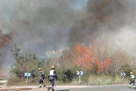 Incendi a s'Albufera, a Alcúdia