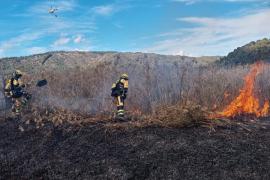 Controlat l'incendi al Parc Natural de s'Albufera