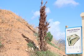 MÉS acusa Bestard de boicotar l'obertura de l'àrea recreativa de Can Canut