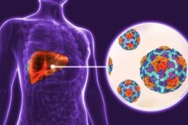 Detectat un brot d'hepatitis A en persones relacionades amb una escoleta de Santa Eulària d'Eivissa