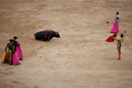 Demanen empara al Defensor del Poble davant el veto a la compareixença de la directora de l’Oficina Balear de la Infància sobre els menors als toros