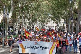 Imatge de la manifestació ultraespanyolista celebrada aquest dissabte a Palma. La protesta ha estat un autèntic fracàs de participació.