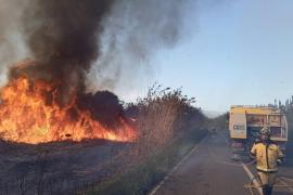 Demanen explicacions per la successió d’incendis al Parc Natural de l'Albufera