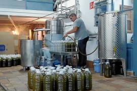 SOLLER - Una allau de productors doli col?lapsa la tafona particular de Can Det.
El propietari va rebre 450 telefonades en tres