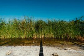 Imatge de l'exposició fotogràfica 'Temporada baixa' que es podrà visitar a Manacor.