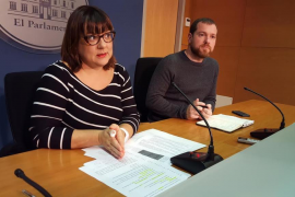 Des de MÉS per Mallorca consideren el macroprojecte del Molinar com una amenaça en relació al paisatgisme.