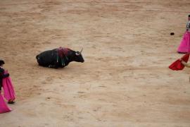 Els menors podran entrar a les corregudes de toros acompanyats d'un adult