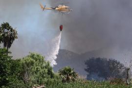 Els incendis de s'Albufera eleven a més de 248 les hectàrees cremades en el que va d'any a les Balears