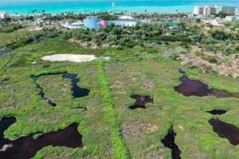 El Pi: «Cort no pot construir 450 habitatges a les Fontanelles. Una zona humida o inundable no és lloc per a fer habitatges»