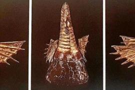 Exigeixen el retorn a Mallorca de la Cimera del Rei Martí i altres béns patrimonials que s'han endut a Madrid