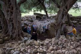 Imatge de la intervenció guanyadora d'Alicia Utiyama, que reflexiona sobre la fugacitat del temps viscut.