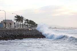 Imatge d'un temporal d'ones al passeig marítim de Palma.