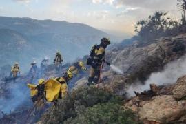 Estabilitzat l'incendi forestal d'Andratx