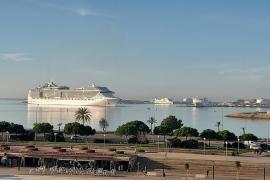 Els creuers i megacreuers són una de les fonts més grans de contaminació de l'aire a les Balears.