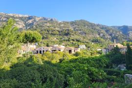 Una part dels horts que donen al torrent Major.