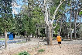 Per a la redacció del projecte hi ha mig milió d’euros.