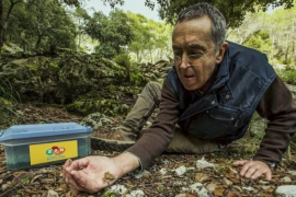 Personal del Zoo de Barcelona ha alliberat aquesta setmana 82 gripaus endèmics de Mallorca a la Serra de Tramuntana.
