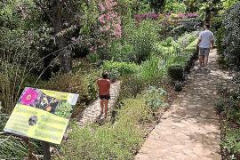 El pressupost de la Fundació MUCBO serà de 743.000 euros