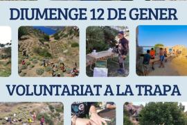 Arriba la primera jornada de voluntariat de l'any a la Trapa