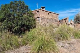 caminandopormallorca.es