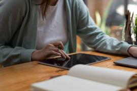 Els PQI estan adreçats a alumnes que no tenen prou maduresa per a poder cursar amb garanties un cicle formatiu de formació professional bàsica.