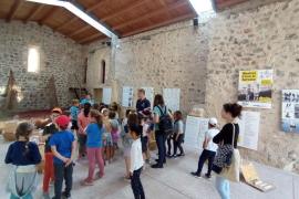 El Museu de la Mar completa un 2024 de rècord amb un total de 20.906 visites