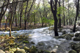 Fonts Ufanes, Campanet.
