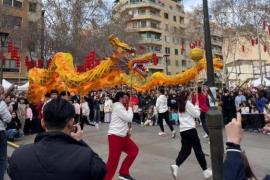 Palma declara l’Any Nou Xinès activitat d’interès públic municipal
