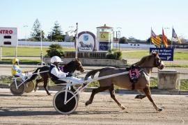 El Pi denuncia la «deixadesa» del Consell en la gestió de l’Hipòdrom de Manacor